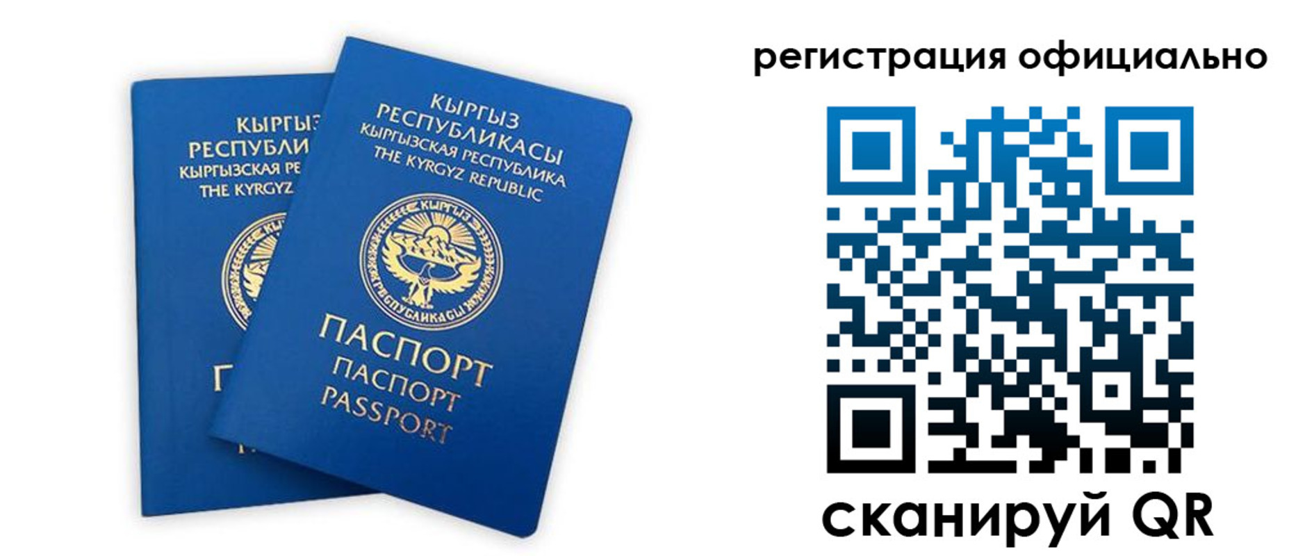 прописка поиск в Балаково
